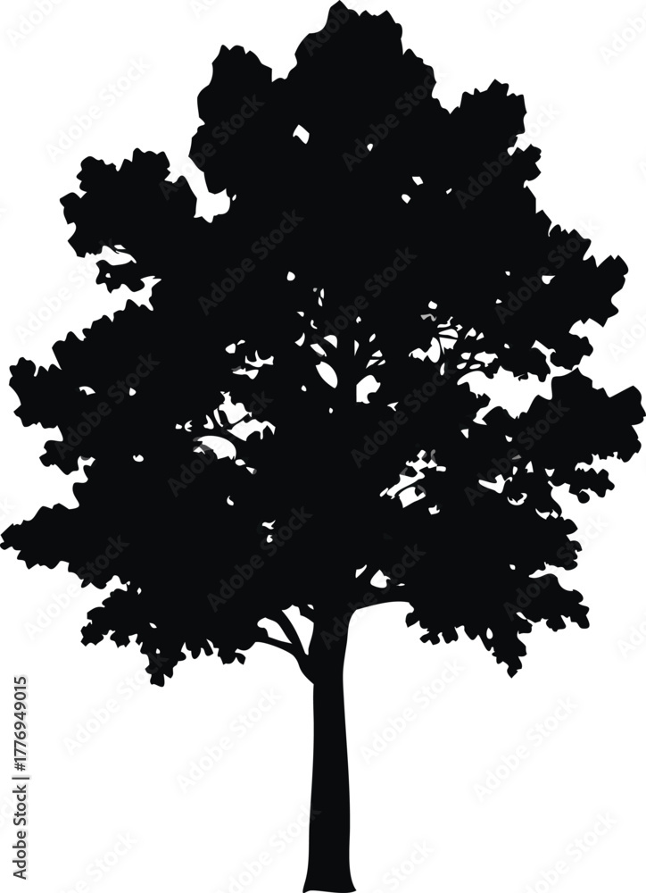 Tall Tree Silhouette Vector Black Tree Outline With Dense Foliage For 