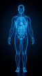 © Rizki Ahmad Fauzi - human anatomy wireframe glowing internal organs futuristic light healthcare innovation medical science background