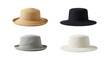 © Firman Dasmir - Stylish hat collection featuring straw, black, gray, and cream on isolated background