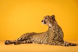 A majestic cheetah lies in a relaxed pose against a vibrant yellow background its spotted coat clearly visible in this striking silhouette