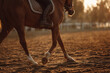 © EricMiguel - Sunset equestrian motion: close-up of a chestnut horse's legs and rider's saddle as hooves kick up arena dust during dressage practice