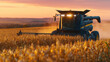 © Maksym - High-resolution image of a combine harvester moving through a golden cornfield at sunset, warm light illuminating the stalks and casting long shadows, dust rising from freshly cut