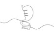 © Md. Sohel - Stomach anatomy continuous one line drawing on white background minimalist digestive organ outline vector illustration