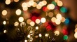© Petrovska - Christmas Tree Lights Bokeh Festive Background.
