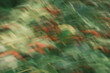 © jr-art - A blurry image of green leaves and red flowers