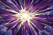© Svetlana - Dynamic comic style explosion with radiant white burst