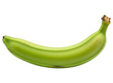 Single unripe green banana, a healthy fresh tropical fruit for cooking