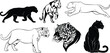 © Joydip - Panther leopard illustrations in silhouette, line art, geometric, and realistic styles showing walking, leaping, standing, seated, and headshot poses
