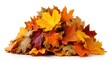 © WITTAYA  ANGMUJCHA - Colorful Autumn Leaves Piled Together in a Vibrant Display of Nature's Beauty with Various Shades of Orange and Yellow