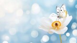 82.A delicate close-up of a white anemone flower with bright yellow stamens, with a butterfly perched gently on the petals, set against a soft blue sky background with a beautiful bokeh effect,