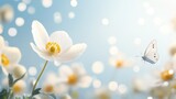 85.A close-up, high-definition image of a white anemone flower, with its vivid yellow stamens, and a butterfly landing gently on the petals, set against a soft blue sky filled with circular bokeh
