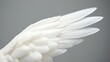 © Haru - An intricate close-up of pristine white bird feathers arranged in an elegant pattern.