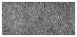 © Logan - Seamless zebra print pattern vector background abstract wavy vertical lines animal skin texture
