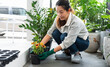 © Sumala - Asian woman gardening at home with eco lifestyle and sustainable living by planting flowers in pots on floor surrounded by green plants in bright indoor space