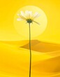 © Heriics - A singular white flower stands against a bright yellow surreal landscape