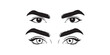 © Vector Man - man and woman isolated vector eyes and eyebrows silhouette illustration, female and male vector eyes and eyebrows silhouette,