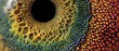 © ESP Studio - Extreme close-up of a chameleon's eye reveals intricate patterns and colors.
