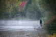 © NetPix - Misty River Fishing Scene With A Single Angler Amid Autumn Trees And Calm Waters