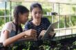 © Ekkasit A Siam - Multiracial girl student and asian female student collaborating during school farming class using digital tablet and hand trowel to inspect plant growth and learn sustainable agriculture techniques