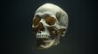 © Svetlana - floating skull that appears to be preserved in formaldehyde, with a glassy sheen and subtle bubbles suspended around it, the skulls surface is smooth and cream-colored, with a slightly yellowish