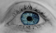 © Kiara - Bright blue eye