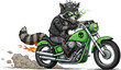 © IconicCreations - Raccoon biker mascot, punk animal character, riding motorcycle illustration, rebellious cartoon design, glowing eyes artwork, edgy vector concept, action scene