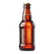 © Creative Canvas - Cold beer bottle isolated on white and transparent background