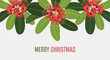 © CREATIVE CRUSADER - Festive merry christmas greeting card with vibrant red pohutukawa flowers and green leaves on a light background