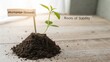 © Asraf - Growth Seedling Emerging from Soil Symbolizing Mortgage Growth and Stability in Financial Context for Stock Photo Use