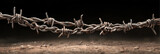 Rusted barbed wire fence with shallow focus, dry soil foreground and dark background conveying isolation and tension