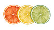 © Lightflow Vision  - isolated transparent Background, Watercolor citrus slice orange lemon lime juicy fresh