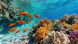 Colorful Coral Reef with Orange Fish Swimming in Clear Blue Water