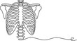 © Single Line Art - One line drawing of human rib cage, sternum, clavicle, and thoracic spine. minimalist medical anatomy illustration, isolated for health designs.