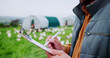© peopleimages.com - Chicken, farm and document with hands of person for agriculture, poultry flock records or livestock update. Animal tracking, report and clipboard with farmer for free range eggs in countryside