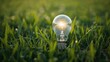 © The 2R Artificiality - Light bulb resting on grass, symbolizing energy efficiency and environmental awareness