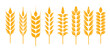 © Nobitk - set of wheat ears icon vector illustration