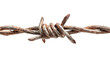 © Jannat00 - Close up of rusty barbed wire with sharp points isolated on transparent background