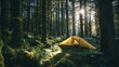 © Oleh - Yellow solo tent nestled in a lush green mossy forest with tall trees, golden sunlight filtering through the canopy, suggesting wilderness exploration, adventure, and solitude