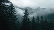© vxnaghiyev - Cloudy weather enveloping a mountain forest filled with pine trees, highlighting seasonal change