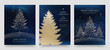 © BrandPacks - Christmas Greeting Card Poster Flyer Set with Blue Background and Elegant Gold Christmas Tree Illustrations