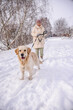 © StockMediaSeller - Elderly woman walking her Golden Retriever on a snowy path in a quiet winter landscape. The cheerful dog stands in the foreground while the woman holds the leash