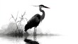 © Ghulam - Black and white vector of a heron standing in water, drawn in tall elegant form over pure white background. Represents patience and balance. Perfect for meditation visuals and calm nature art.
