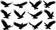 © MdNaimurRahaman - Bird of prey silhouette set, flying and landing eagle icons, flat vector illustration for wildlife, nature, predator, freedom, design use