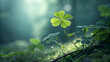 © quality29 - A fourleaf clover stands out among the greenery, illuminated by a gentle light, symbolizing luck and hope in a serene natural setting, with dew drops adding a touch of magic