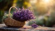 © JovialFox - A beautiful basket brimming with fresh purple lavender flowers, bathed in warm sunlight, creating a serene and aromatic scene.