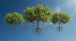 © Hungarian - Three fruit bearing trees float suspended against a bright blue sky with radiating sunlight