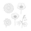 © monirs33 - Detailed botanical floral line art set with various flower types.