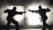 © z - taichi. Two martial artists stand poised in dramatic silhouette, capturing intensity through stark light contrast. event key visuals, club posters, designed for fitness apps and gym onboarding.