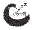 © David - Black outline vector illustration of a sleeping hedgehog curled up with a peaceful expression and a floating 'z' symbol indicating sleep.