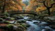 © Tahsin - Wooden bridge over a flowing river surrounded by autumn foliage and rocks